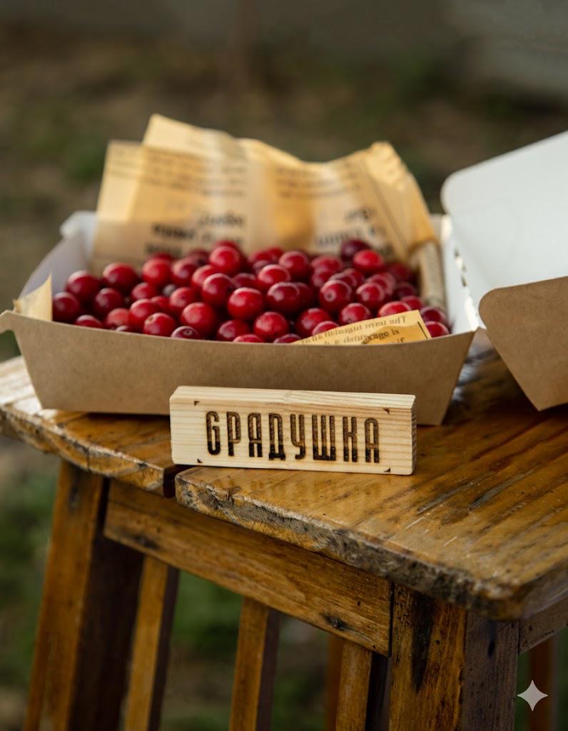 0cc969e6-cb58-4429-9f82-4c83f6da11a5