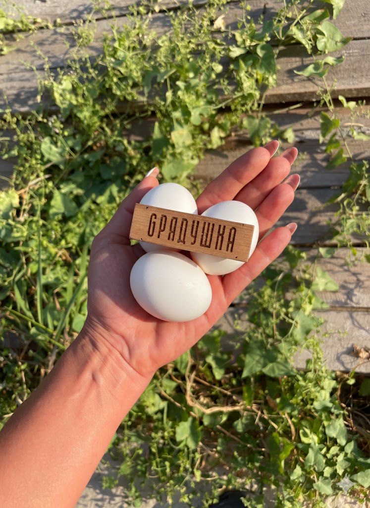 6a943631-1f8f-44b4-90cf-3d6080915c58